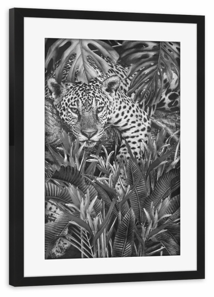 Poster mit Rahmen schwarz "Jaguar zu Hause BW" artboxONE - Floral,Tiere,Schwarzweiß