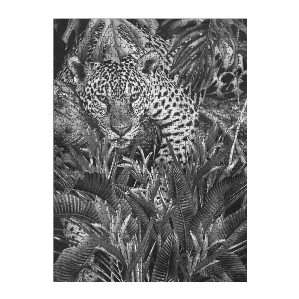 Puzzle Ravensburger "Jaguar zu Hause BW" artboxONE - Floral,Tiere,Schwarzweiß