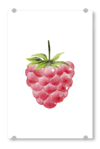 Acrylglasbild "Himbeer-Aquarell-Frucht" artboxONE - Essen & Trinken / Obst & Gemüse - Obst,Aquarell,Sommer,Kunst,Tropisch,Beere,Lebensmittel,Himbeere