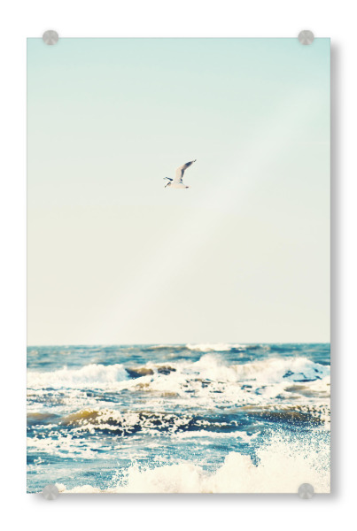 Acrylglasbild "Freiheit an der Nordseeküste" artboxONE - Natur,Reise,Tiere,Reise / Strand und Meer