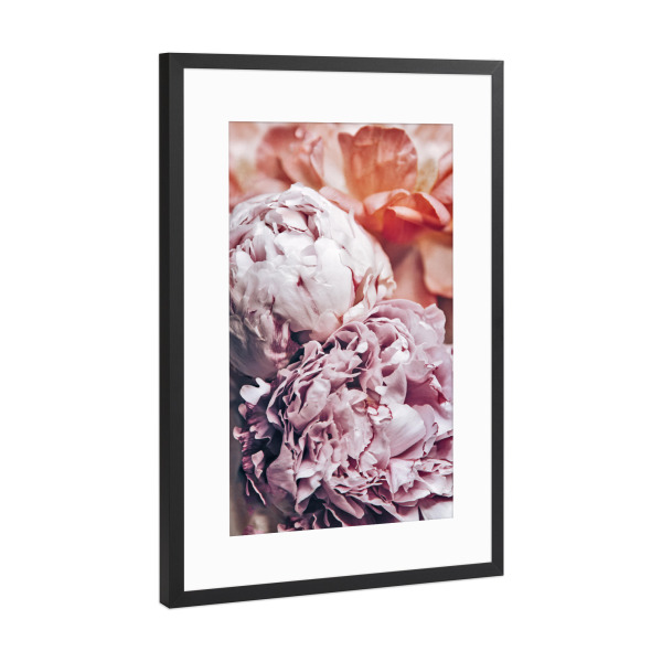 Poster mit Rahmen Schwarz (Metallic) "Pfingstblumen" artboxONE - Natur,Floral
