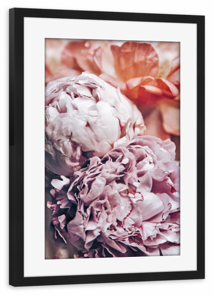 Poster mit Rahmen schwarz "Pfingstblumen" artboxONE - Natur,Floral