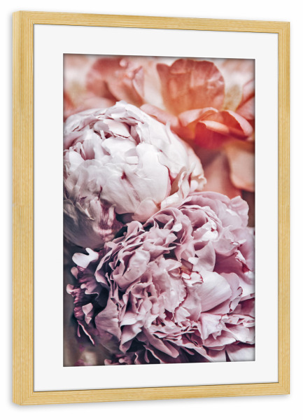 Poster mit Rahmen kiefer "Pfingstblumen" artboxONE - Natur,Floral