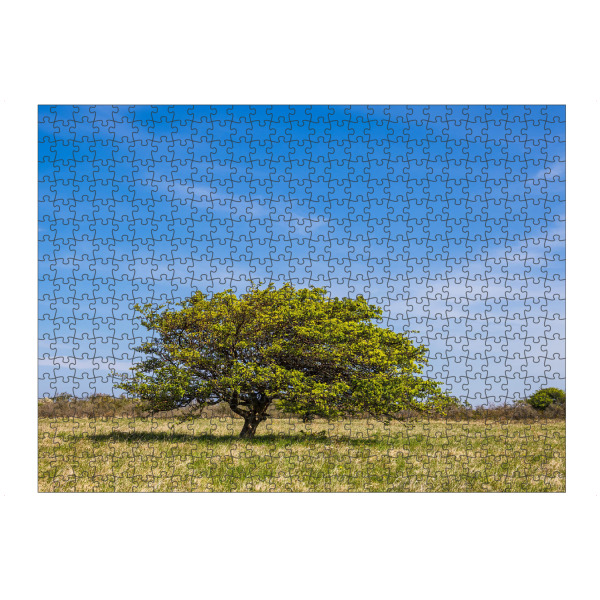 artboxONE Puzzle "Wolken, Baum und Gras" artboxONE - Natur,Reise