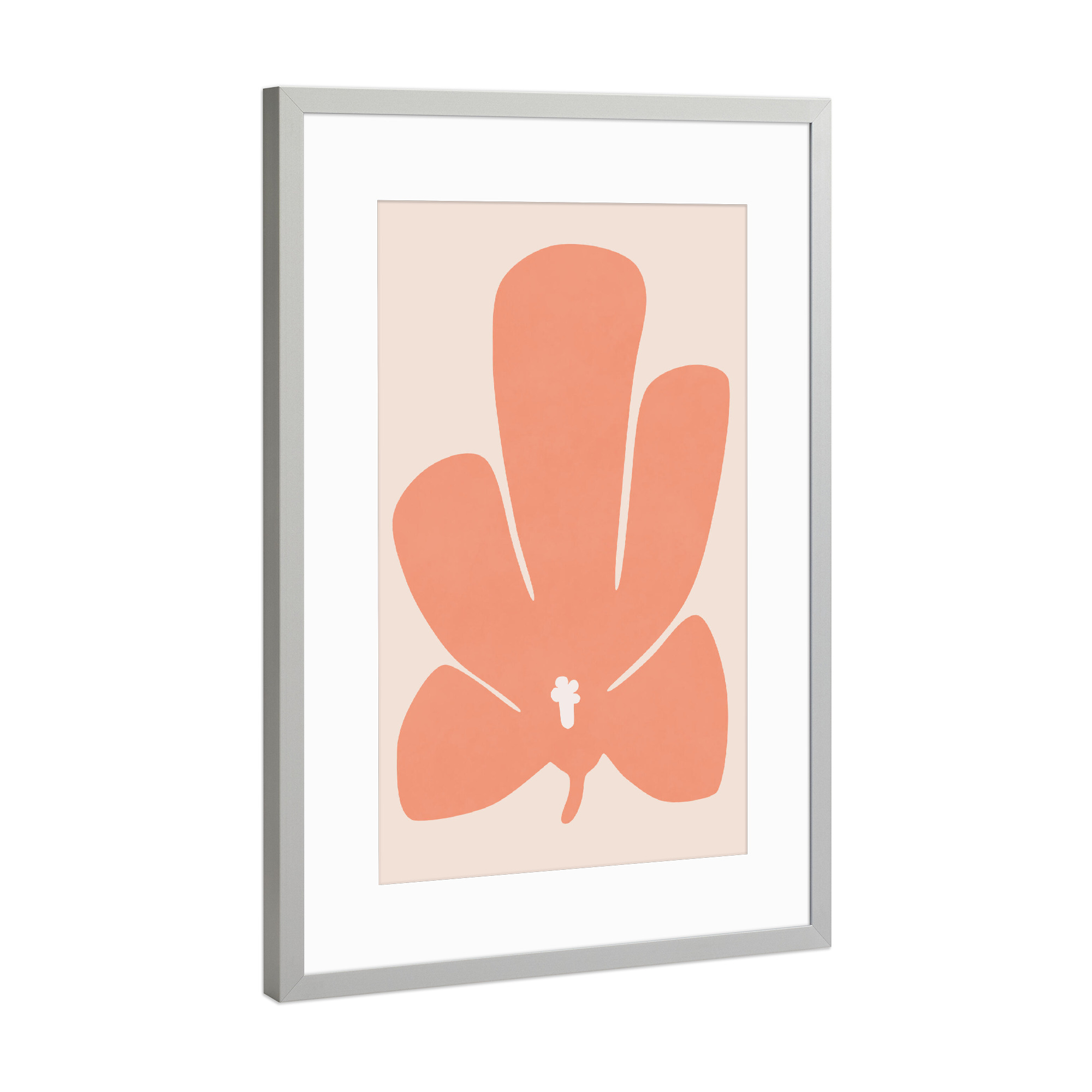 Poster mit Rahmen Silber "Koralle Tulpenblume" artboxONE - Natur,Floral - Tulpe,Blume,Blumen,Blütenblatt,Rosa,Koralle,Stillleben,Natur,Abstrakt