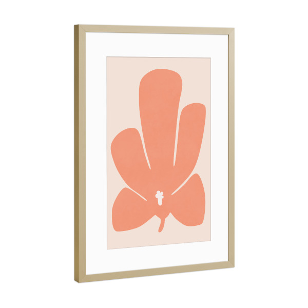 Poster mit Rahmen Gold "Koralle Tulpenblume" artboxONE - Natur,Floral - Tulpe,Blume,Blumen,Blütenblatt,Rosa,Koralle,Stillleben,Natur,Abstrakt