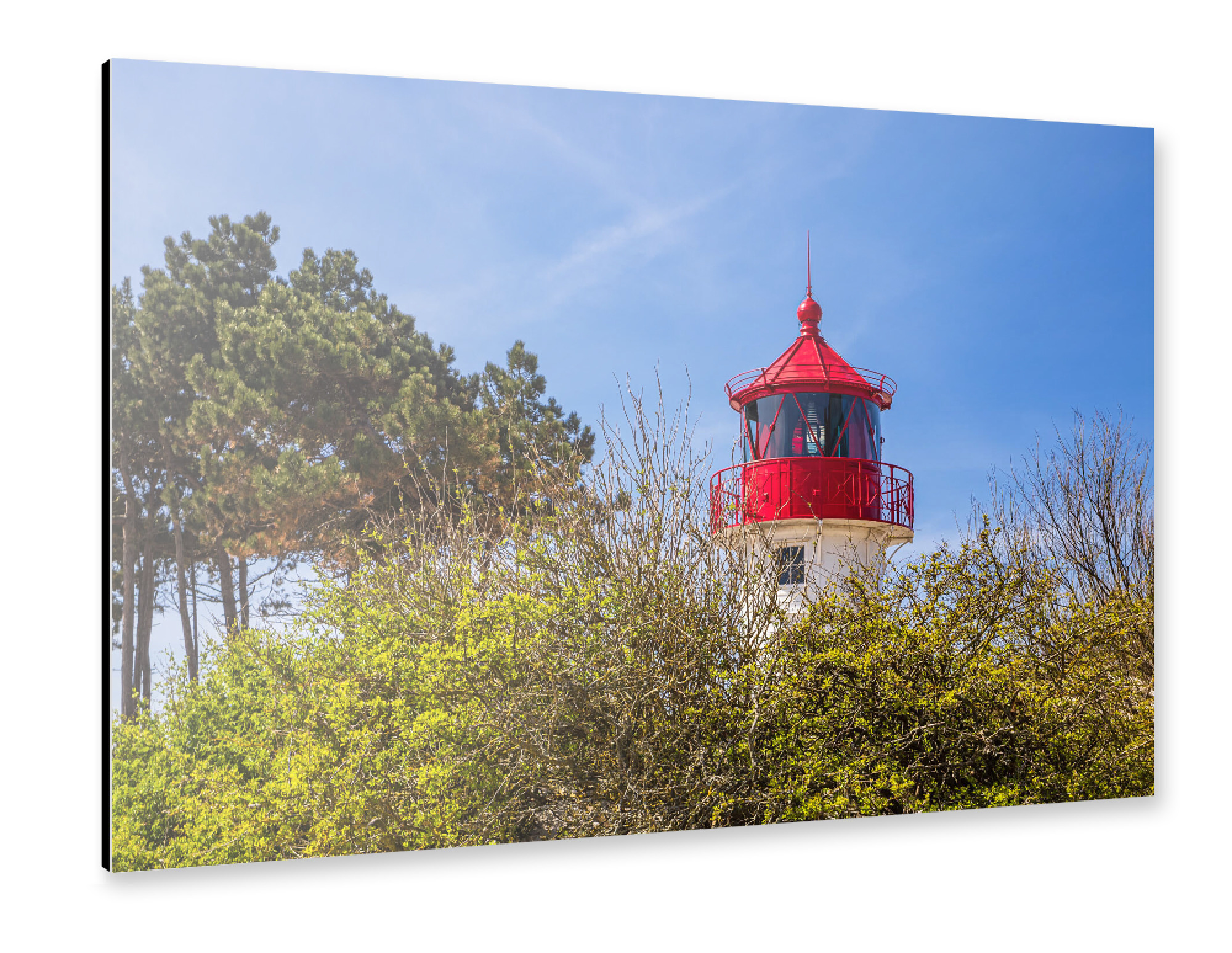 Alu-Dibond "Bäume mit Leuchtturm" 75x50 cm artboxONE