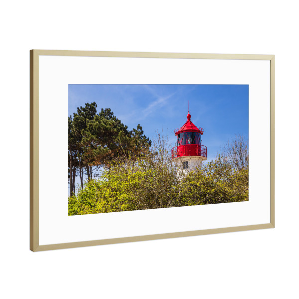 Poster mit Rahmen Gold "Bäume mit Leuchtturm" artboxONE - Natur,Reise,Architektur
