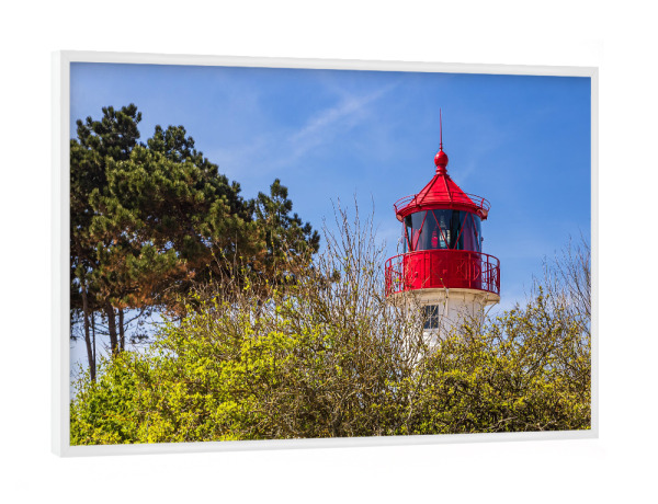 Poster mit weißem Rahmen "Bäume mit Leuchtturm" artboxONE - Natur,Reise,Architektur