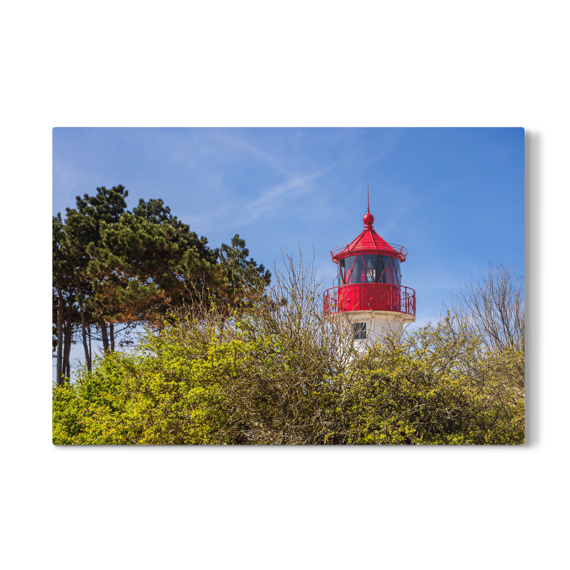Galerie-Print "Bäume mit Leuchtturm" 75x50 cm artboxONE