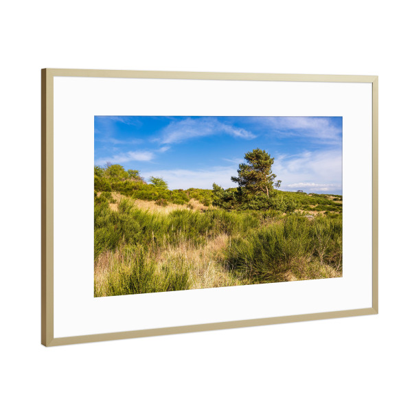 Poster mit Rahmen Gold "Gras, Gebüsch, Baum" artboxONE - Natur,Reise