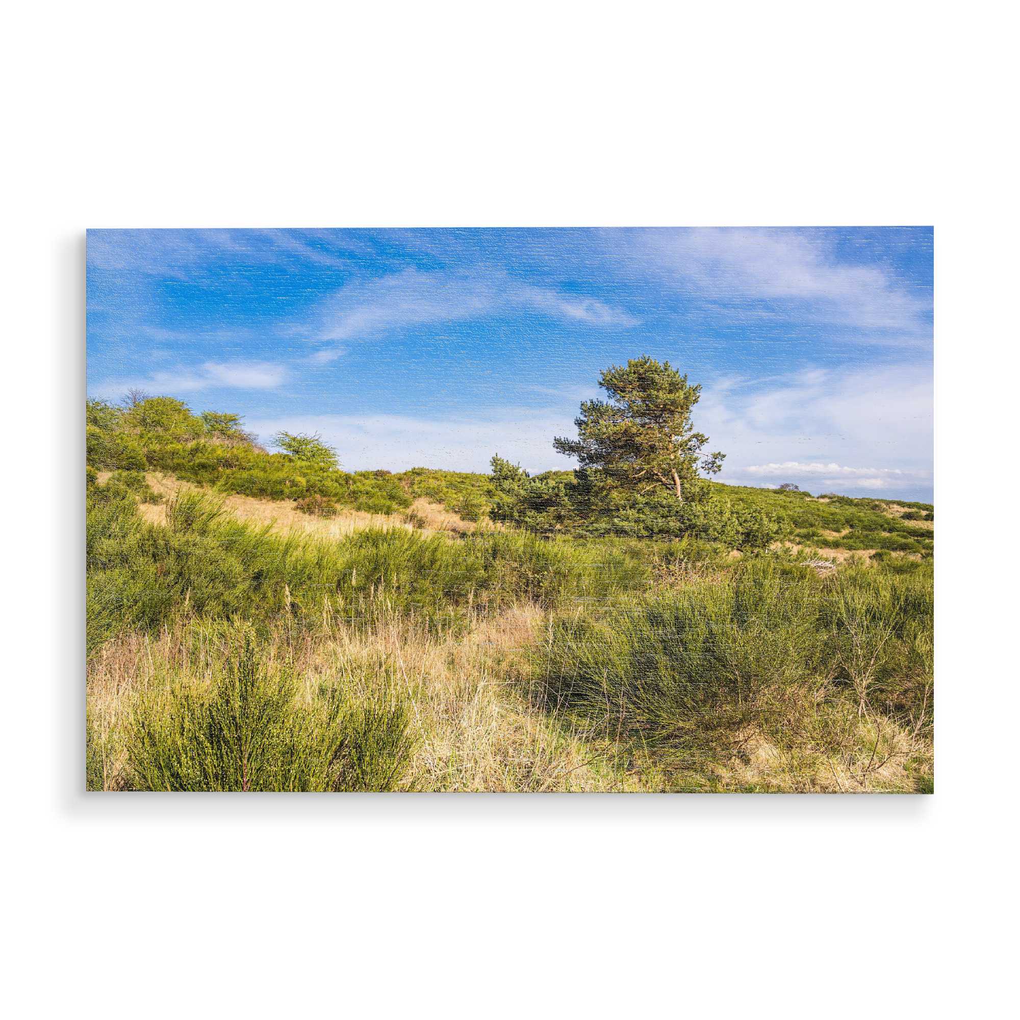 Holzbild "Gras, Gebüsch, Baum" artboxONE - Natur,Reise