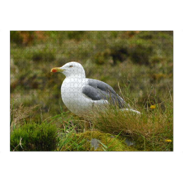 Puzzle Ravensburger "Eine weiße Möwe" artboxONE - Natur,Tiere