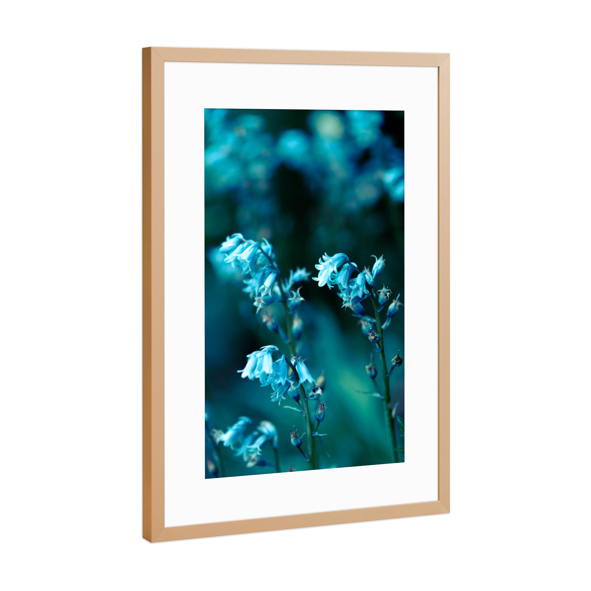 Poster mit Rahmen Kupfer "Glockenblumen" artboxONE - Natur,Floral