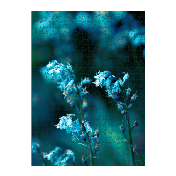 artboxONE Puzzle "Glockenblumen" artboxONE - Natur,Floral