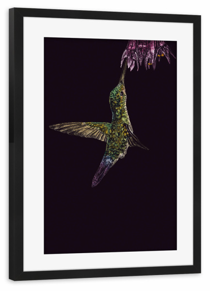 Poster mit Rahmen schwarz "Kolibri" artboxONE - Tiere - Tier,Kolibri,Vogel,Illustration,Buntstift,Mehrfarbig,Bunt,Tierportrait