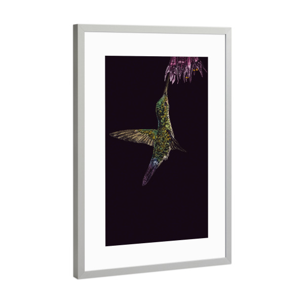 Poster mit Rahmen Silber "Kolibri" artboxONE - Tiere - Tier,Kolibri,Vogel,Illustration,Buntstift,Mehrfarbig,Bunt,Tierportrait