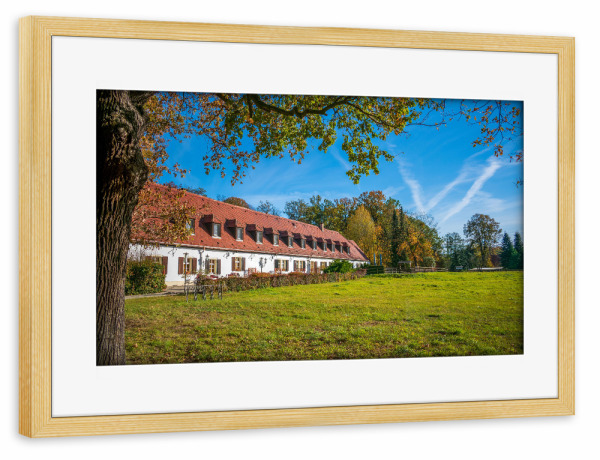Poster mit Rahmen kiefer "Waldschänke Moritzburg" artboxONE - Städte,Natur,Architektur