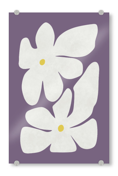 Acrylglasbild "Weiße Narzisse" artboxONE - Natur,Floral,Abstrakt - Narzisse,Blume,Blumen,Botanisch,Stillleben,Natur,Form,Einfach,Modern