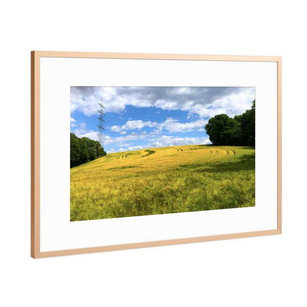 Poster mit Rahmen Kupfer "Gerstenfeld im Sommer" artboxONE - Natur,Reise,Reise / Länder