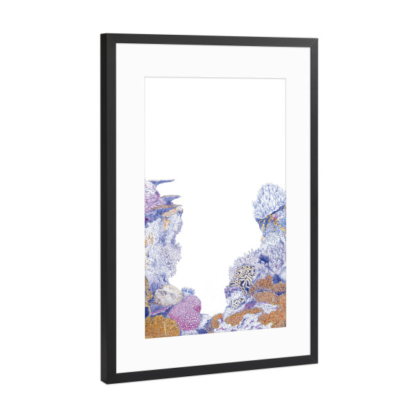 Poster mit Rahmen Schwarz (Metallic) "Bunte Korallen" artboxONE - Unterwasser