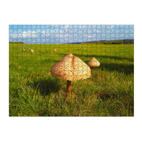 Puzzle Ravensburger "Ein Pilz im grünen Hügelland" artboxONE - Natur,Reise,Floral