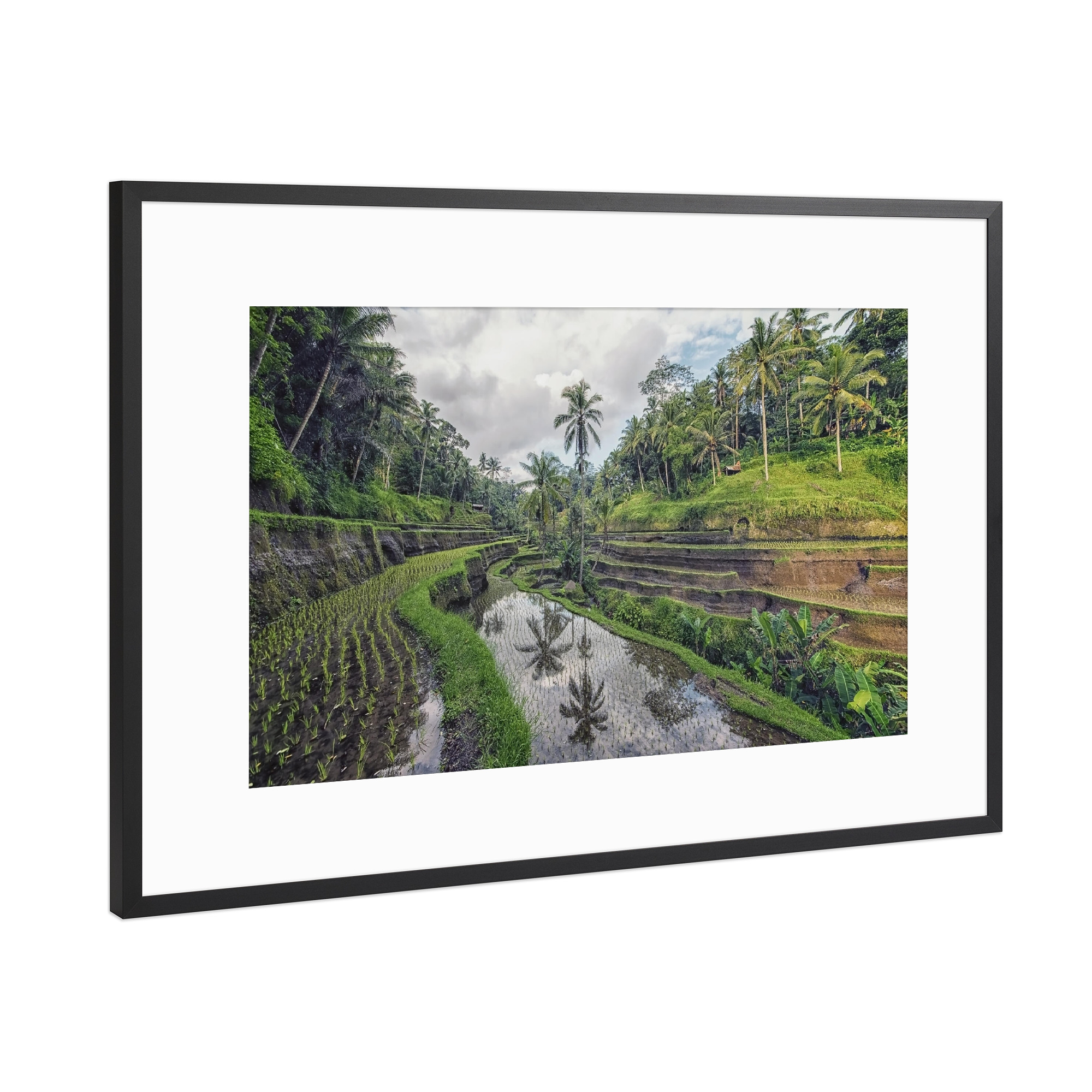 Poster mit Rahmen Schwarz (Metallic) "Reisfeld-Reflexion" artboxONE - Natur,Reise,Reise / Asien,Reise / Länder