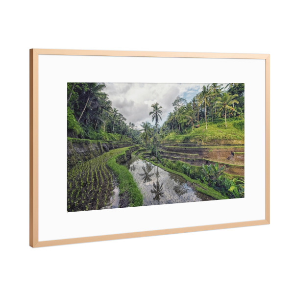 Poster mit Rahmen Kupfer "Reisfeld-Reflexion" artboxONE - Natur,Reise,Reise / Asien,Reise / Länder