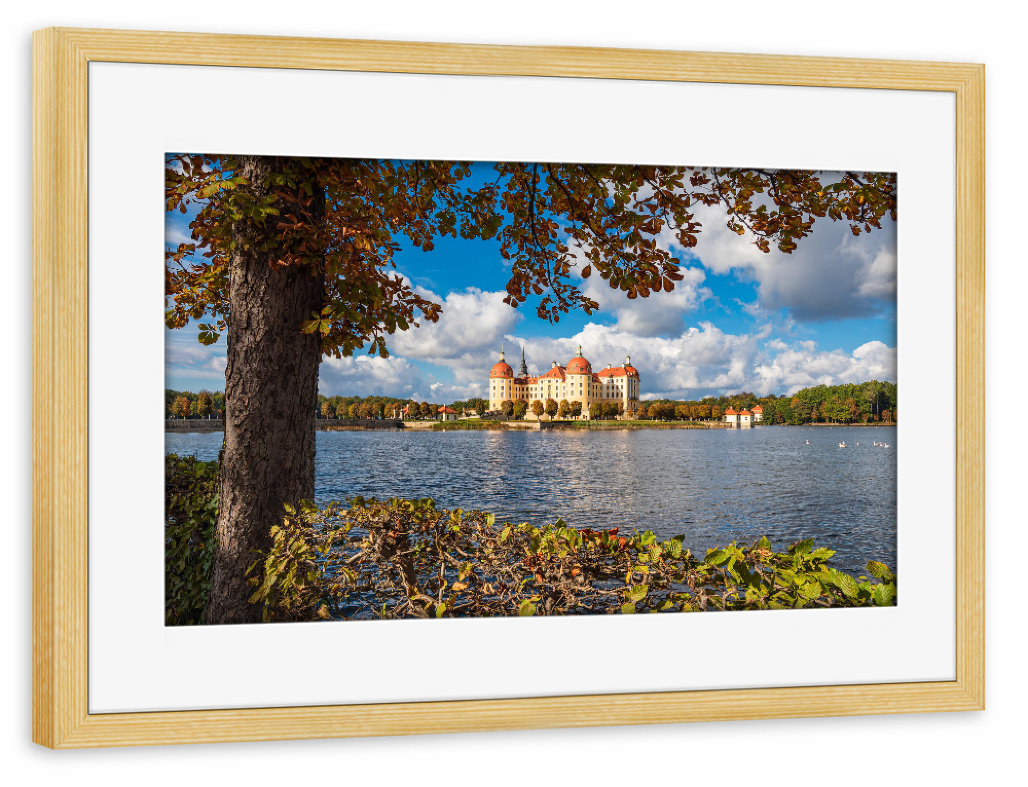 Poster mit Rahmen kiefer "Baum, Wasser, Schloß, Wolken" artboxONE - Natur,Reise,Architektur