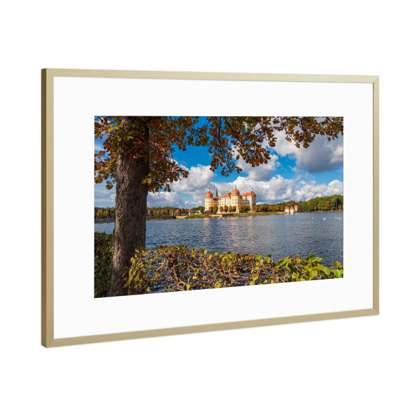 Poster mit Rahmen Gold "Baum, Wasser, Schloß, Wolken" artboxONE - Natur,Reise,Architektur