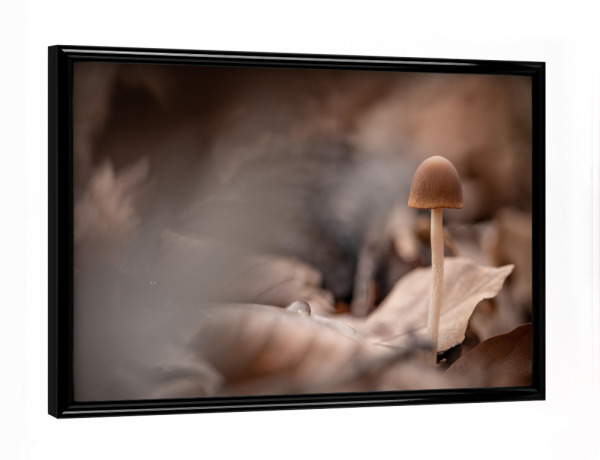 Poster mit schwarzem Rahmen "Kleiner Waldpilz" artboxONE - Natur