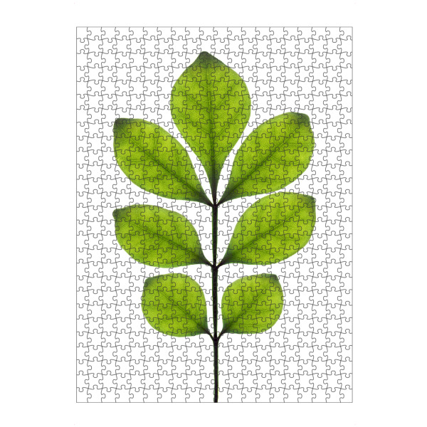 artboxONE Puzzle "Aglaia odorata" artboxONE - Natur,Floral