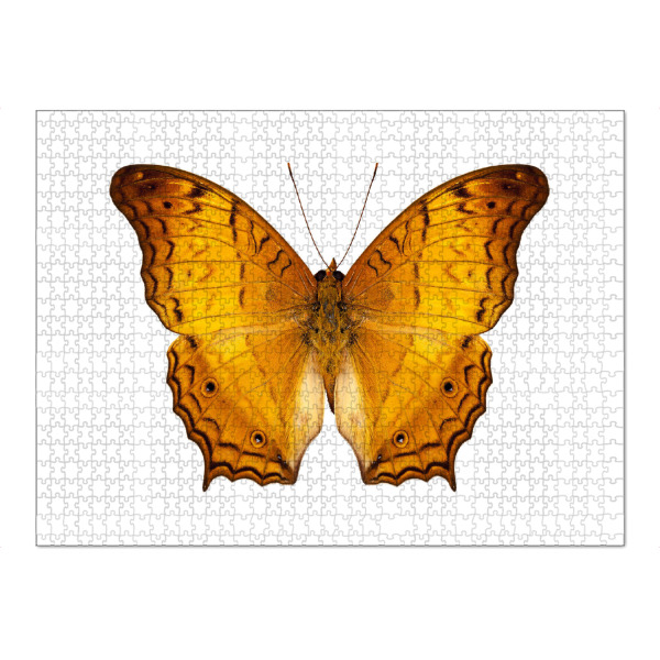 Puzzle Ravensburger "Schmetterlingsart Vindula dejone" artboxONE - Natur,Tiere - Insekt,Schmetterling,Tiere,Fotografie,Fliegen,Farbe,Bunt,Natur