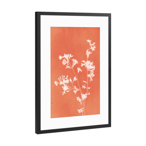 Poster mit Rahmen Schwarz (Metallic) "Monographie Orange" artboxONE - Natur,Floral - Cyanotypie,Blume,Pflanze,Laub,Stillleben,Natur