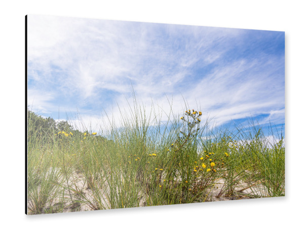 Alu-Dibond "Düne, Gras und Himmel" 30x20 cm artboxONE