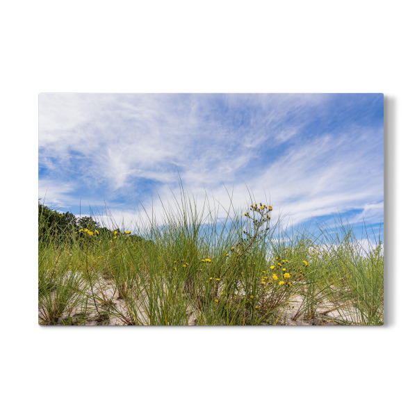 Galerie-Print "Düne, Gras und Himmel" 30x20 cm artboxONE