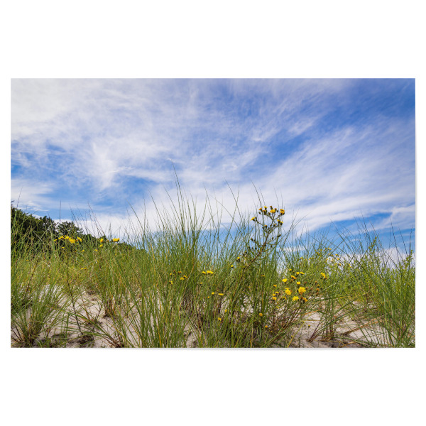 Poster "Düne, Gras und Himmel" artboxONE - Natur,Reise