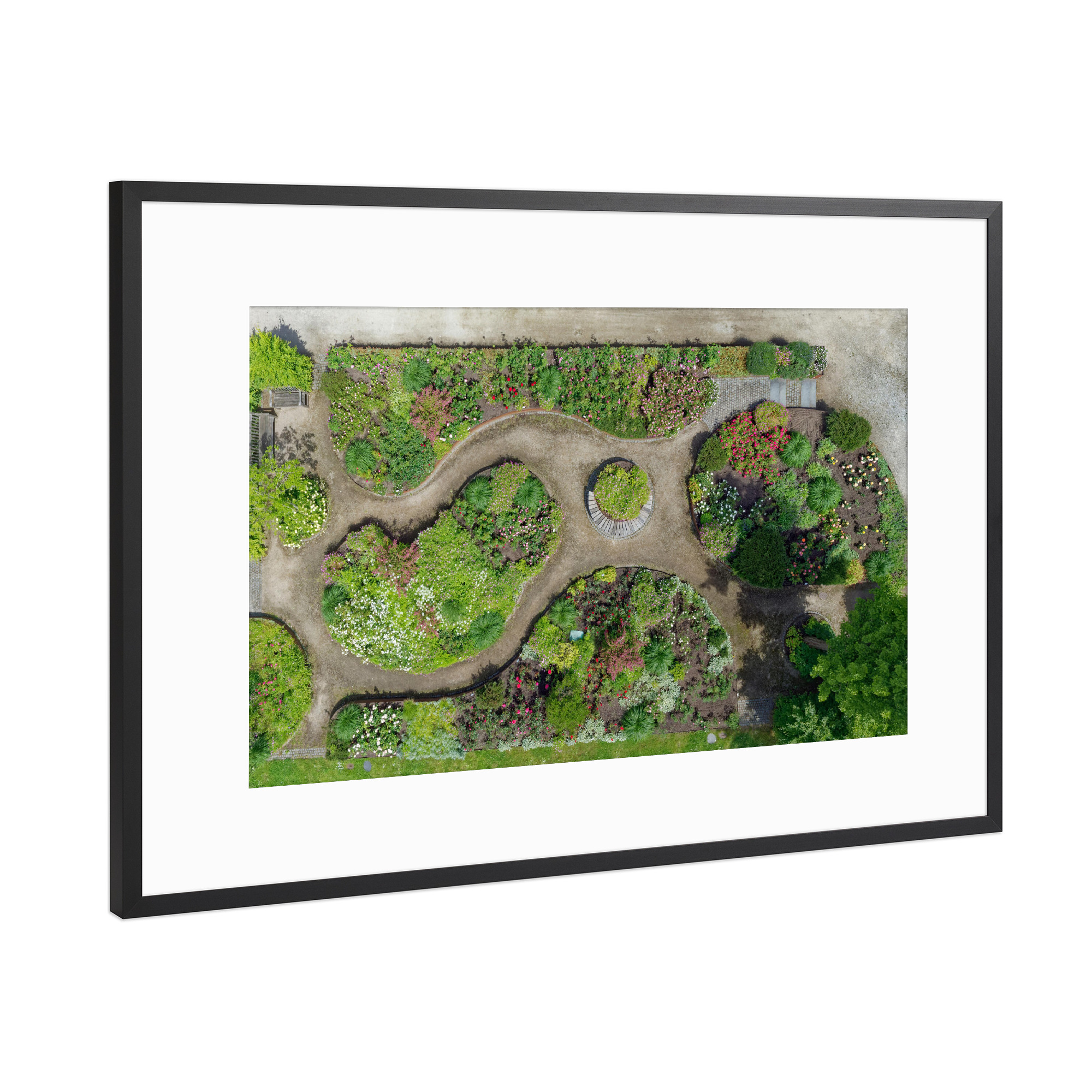 Poster mit Rahmen Schwarz (Metallic) "Rosengarten im Kurpark Mölln" artboxONE - Städte,Natur,Reise,Städte / Weitere