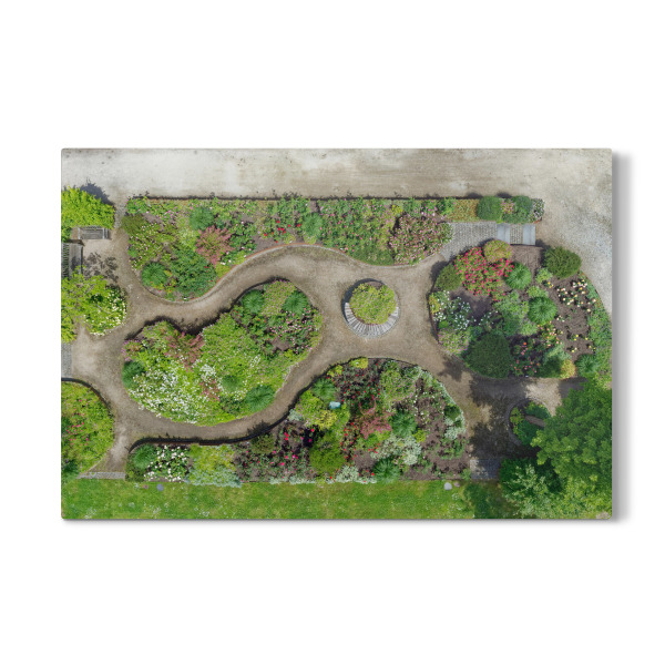 Galerie-Print "Rosengarten im Kurpark Mölln" 30x20 cm artboxONE