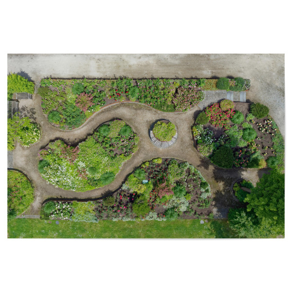 Poster 30x20 cm "Rosengarten im Kurpark Mölln" artboxONE - Städte,Natur,Reise,Städte / Weitere
