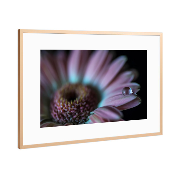 Poster mit Rahmen Kupfer "Der Fall" artboxONE - Natur,Floral,Abstrakt,Liebe,Für Mama