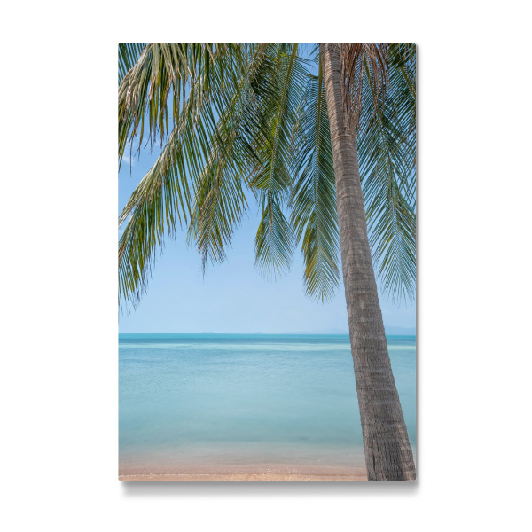 Galerie-Print "Tropischer Blick" 30x20 cm artboxONE