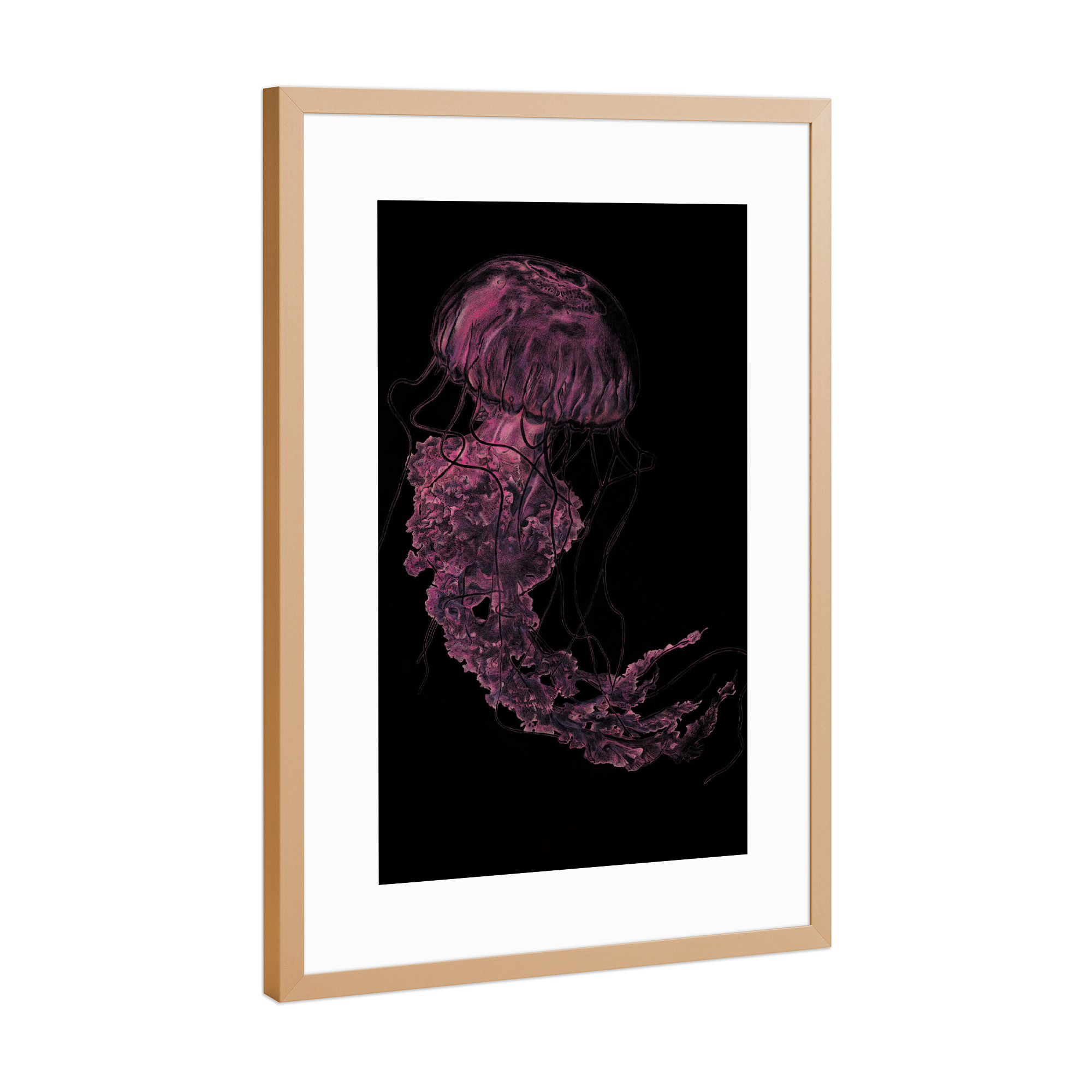 Poster mit Rahmen Kupfer "Qualle schwimmt durchs Bild" artboxONE - Tiere - Tier,Qualle,Rosa,Medusa,Jellyfish,Meer,Ozean,Unterwasser,Animal,Sea,Ocean