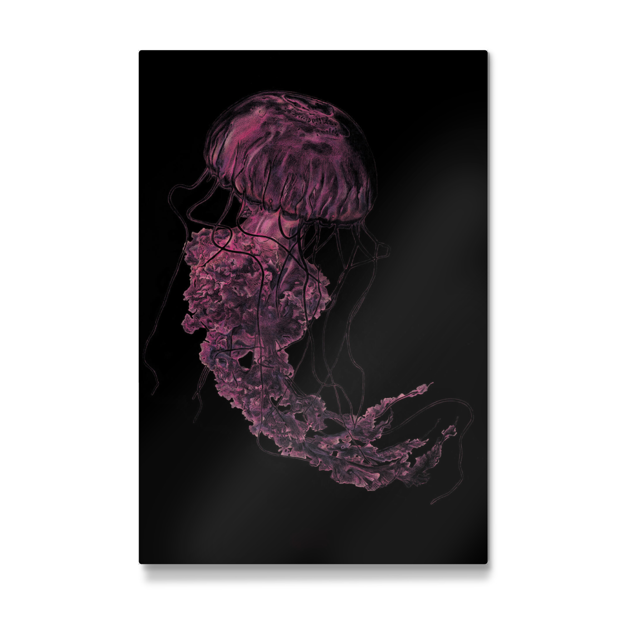 Galerie-Print "Qualle schwimmt durchs Bild" 75x50 cm artboxONE