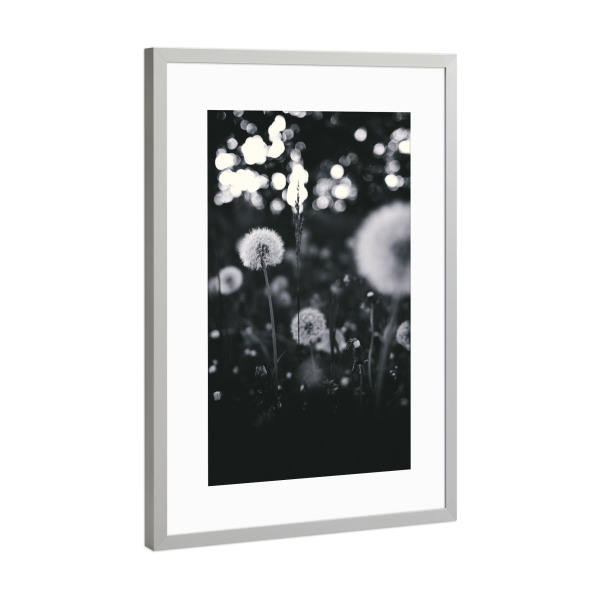Poster mit Rahmen Silber "Pusteblume monochrom" artboxONE - Natur,Abstrakt,Schwarzweiß