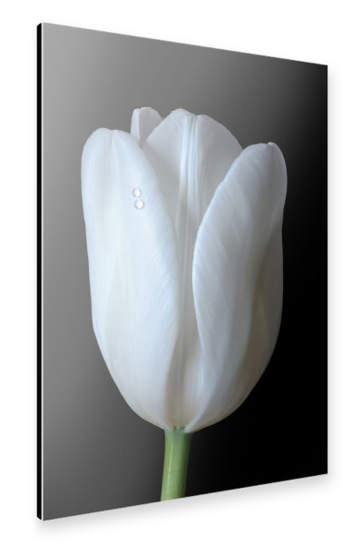 Alu-Dibond "Zwei Tropfen" 30x20 cm artboxONE