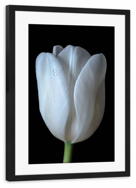 Poster mit Rahmen schwarz "Zwei Tropfen" artboxONE - Natur,Floral,Abstrakt,Für Mama