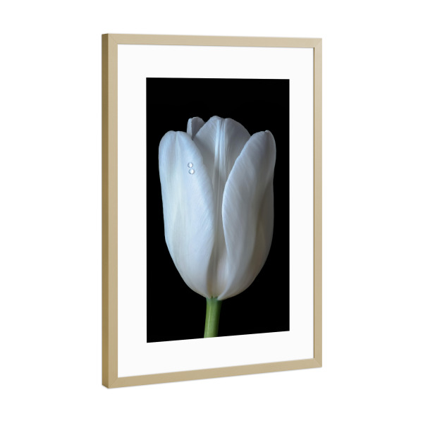 Poster mit Rahmen Gold "Zwei Tropfen" artboxONE - Natur,Floral,Abstrakt,Für Mama