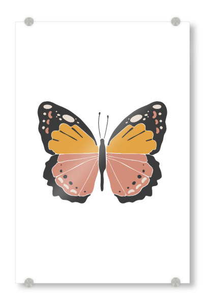 Acrylglasbild "Sommerschmetterling" artboxONE - Tiere - Schmetterling,Insekt,Tier,Sommer,Frühling,Boho,Abstrakt,Orange