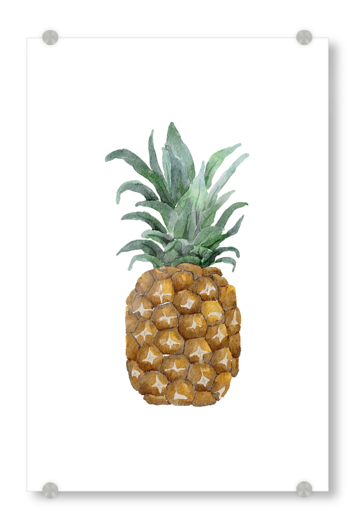 Acrylglasbild "Aquarell Ananas" artboxONE - Essen & Trinken / Obst & Gemüse